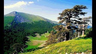 MONTE POLLINO PARCO NAZIONALE [upl. by Noleta]