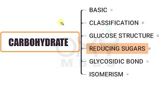 BIOCHEMISTRY Carbohydrate Part 4 A  Reducing sugars [upl. by Hamid64]