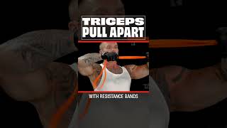 Build Bigger Arms with Resistance Bands  Triceps Pull Apart [upl. by Angell472]