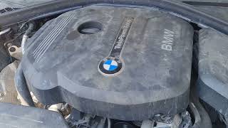 BMW 118i B38 Engine Bad Startup Sound  Bad SparkPlugs [upl. by Allimak]