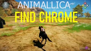 ANIMALLICA FIND CHROME [upl. by Onairot]