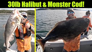 30lb Halibut and Monster Cod Alaskan Halibut Fishing  Juneau Alaska APRIL 2024 bigfish alaska [upl. by Tresa398]