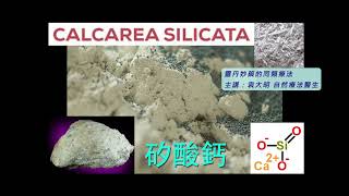 《靈丹妙藥的同類療法》 EP217  矽酸鈣 Calcarea Silicata [upl. by Lucila232]