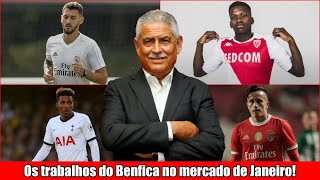 Benfica 202021 ● Os trabalhos do Benfica no mercado de Janeiro [upl. by Aitas]