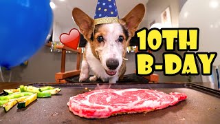 BENIHANA BBQ for My Corgis 10th Birthday  Life After College Ep 768 [upl. by Ventura]