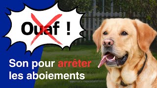 Son pour Arrêter les Aboiements des Chiens Non compatible avec iPhone [upl. by Ahsirak537]