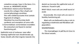 periodontal ligament details cells of periodontal ligament [upl. by Asim]