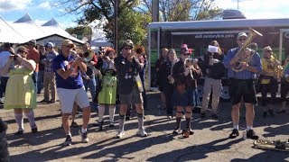 Oktoberfest 2017 Alumni Band at Tapping La Crosse WI [upl. by Eugnimod]