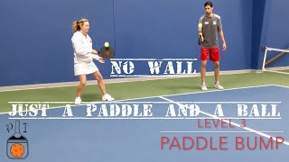 No Wall Just a Paddle and a Ball Pickleball Drills You Can Do at Home Cardio and Solo Practice [upl. by Neemsaj]