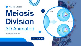 Meiosis Cell Division Explained in 3D  Master Educon  Cell Biology 3D Animation [upl. by Foskett]