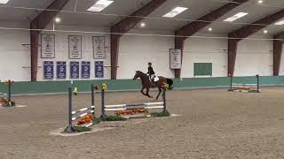 Winning Open equitation IEA Trip [upl. by Alexis70]