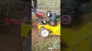 Micro tiller weeder tillage weeding planting agricultural machinery [upl. by Gnov682]