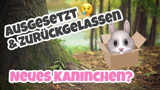 ausgesetzt amp zurückgelassen  Neues Kaninchen [upl. by Keifer]