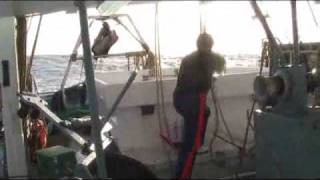 Prawn Trawler Boats Part 10  Daytime Heading Home amp Unloading [upl. by Romina]