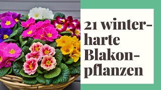 21 winterharte Pflanzen für den Balkon [upl. by Kallick]