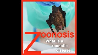 Zoonosis What is a Zoonotic Disease [upl. by Yenaiv]