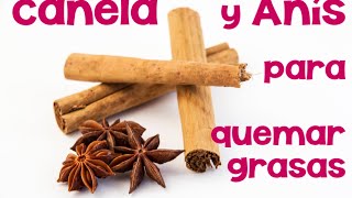 Beneficios del Té de Canela y anís saciante desintoxicante ansiolítico quemagrasas y diurética [upl. by Saum954]