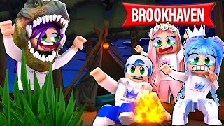 BROOKHAVEN CAMPING STORY IN ROBLOX [upl. by Nilahs]