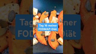 Tag 16 meiner FODMAPDiät 🎃🧀 [upl. by Meakem307]