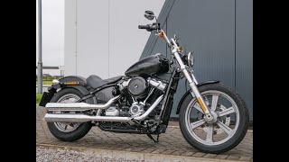 2022 HarleyDavidson FXST Softail Standard in Vivid Black [upl. by Ennahtur]