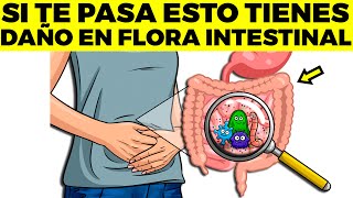 12 señales de que tienes una FLORA INTESTINAL DAÑADA y que puedes hacer [upl. by Darius]