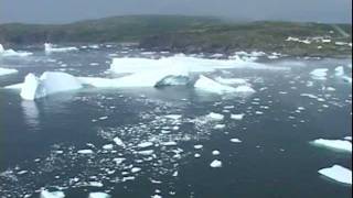 International Appalachian Trail of Newfoundland Icebergs [upl. by Torrance]