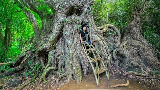 10 Days Building an Emergency Shelter Under a Big Tree Woodworking and Confronting Wild Animals [upl. by Gypsie]