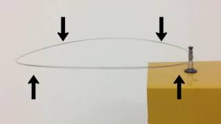 Standing Waves on a Ring Demo [upl. by Butler]