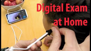 Digital Otoscope for ENT Exam at Home and For TeleMedicine [upl. by Piotr173]