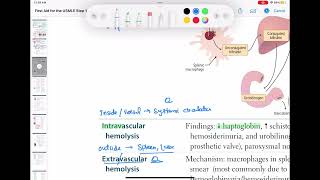 Intravascular hemolysis haematology 43 First Aid USMLE Step 1 in UrduHindi [upl. by Carma]