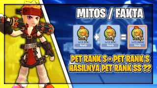 Pet Rank S Combine Pet Rank S Hasilnya  Lost Saga Origin 58 [upl. by Yremogtnom]