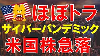 【米国株】調整？暴落？AI相場終了？ [upl. by Eisso]