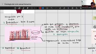 Fisiología del ciclo sexual femenino  Fisiología II  Universidad Continental [upl. by Cypro862]