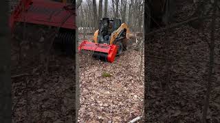 Skid Steer Attachment Forestry Mulcher [upl. by Glarum]