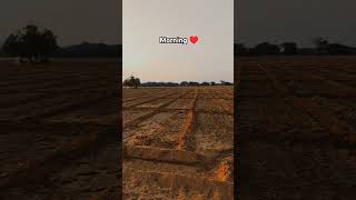 Morning view farm morning mornigstatus viralvideo farming splendor jiru [upl. by Colwin]