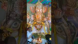 Vinayaka chavithi festival on 07092024 [upl. by Mudenihc122]