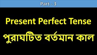 3Present Perfect Tense  Basic English Grammar Course in Bengali [upl. by Obnukotalo698]