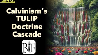 Calvinisms TULIP Doctrine Cascade [upl. by Derte707]