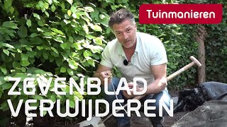 Zevenblad verwijderen hoe doe je dat  Tuinmanieren [upl. by Naiva]