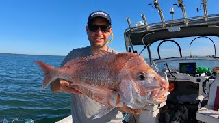 Westernport Snapper October ‘24 How to All About Fishing [upl. by Ynnatirb105]