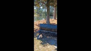 Francis Marion University Campus Tour [upl. by Gunilla]