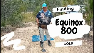 Finding Gold with The Equinox 800 [upl. by Anaik]