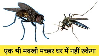 एक भी मक्खी मच्छर घर में नहीं रुकेगा Flies And Mosquito repellent [upl. by Haeluj87]