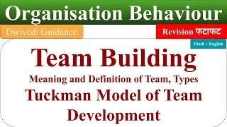 Team Building in organisational behaviour Tuckman Model of Team Development process of team build [upl. by Crista263]