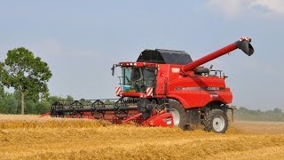 Case IH 9120 Axial Flow  Loonwerken De Bruyne  tarwe dorsen [upl. by Brill]