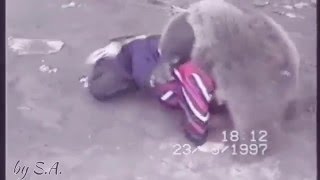 Khabib Nurmagomedov vs Bear [upl. by Christenson179]