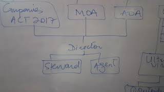 COMPANIES ACT 2017 Directors action must be within Company Act MOA and AOA [upl. by Gean]