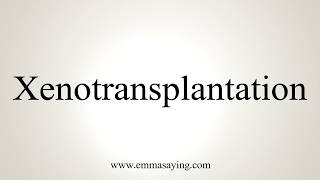 How To Pronounce Xenotransplantation [upl. by Kcirredal]