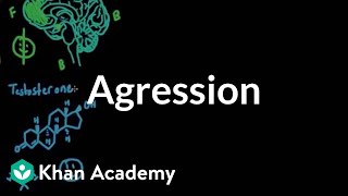 Aggression  Individuals and Society  MCAT  Khan Academy [upl. by Austreng]