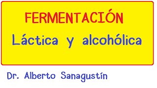 Fermentación Láctica y Alcohólica [upl. by Aniakudo]